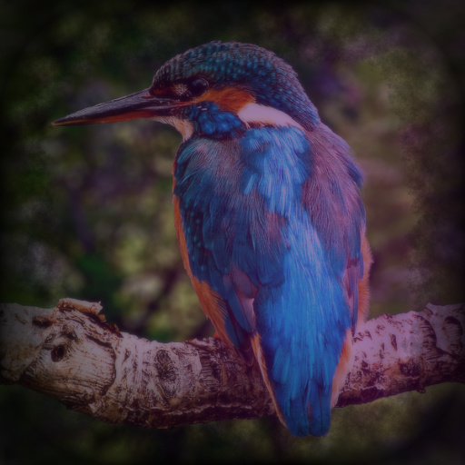 Variation 3