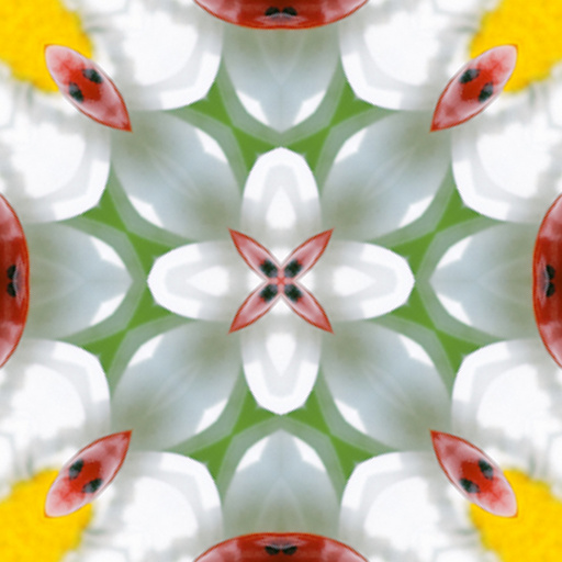 Variation 6