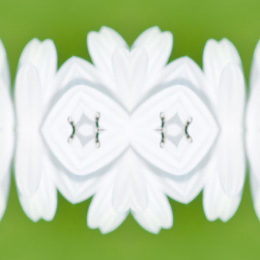 Variation 8