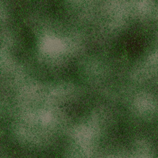 DirtPathGrass (Texture)