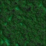 Abstract Surfaces