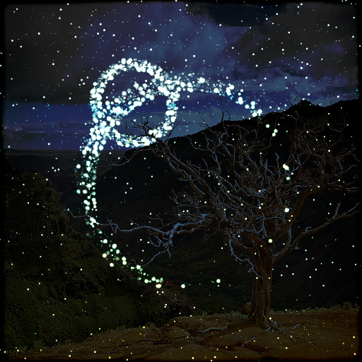 Variation 8