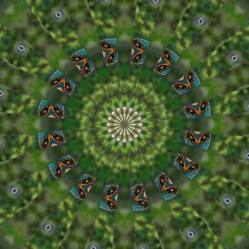 Variation 4