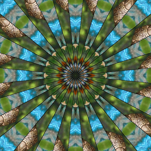 Variation 5
