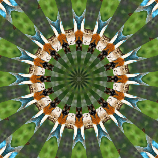 Variation 6