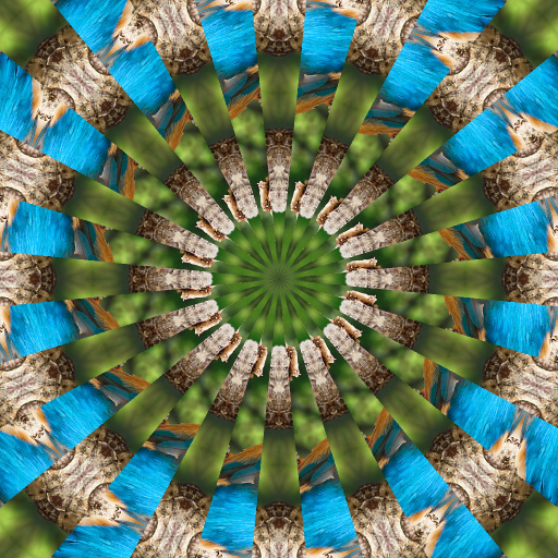 Variation 7