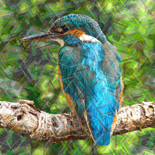 Variation 7