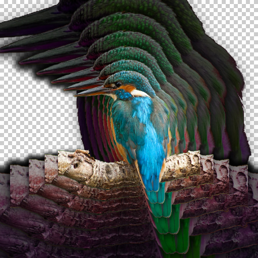 Variation 6