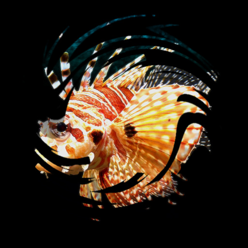 Variation 7