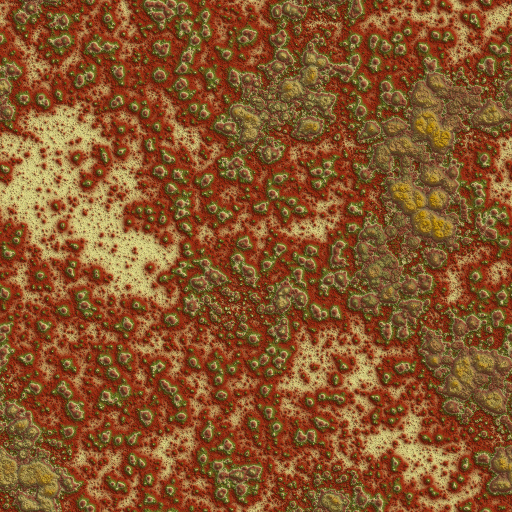 Variation 8