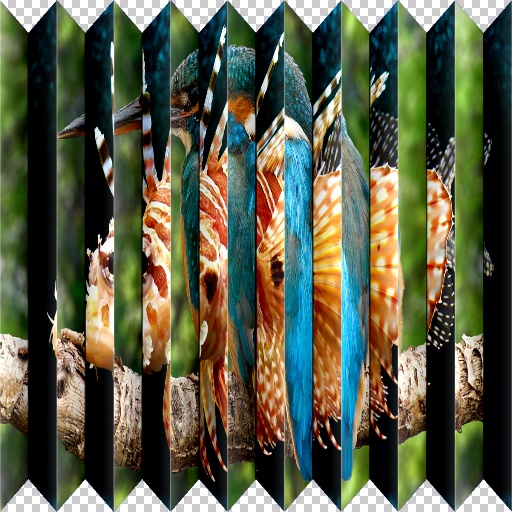 Variation 6