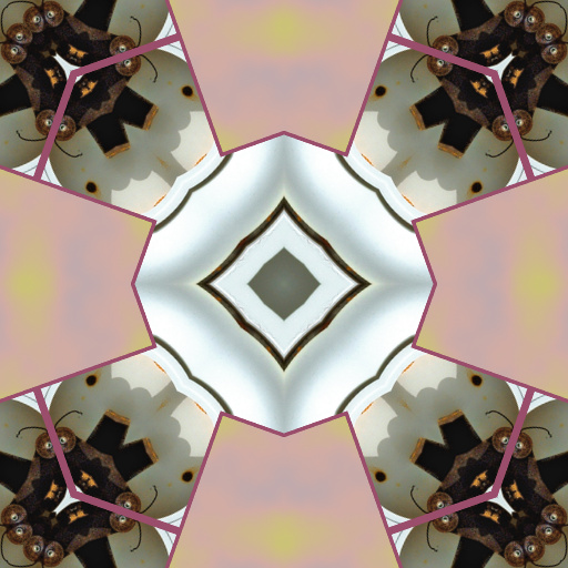 Variation 8