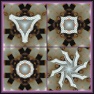 Kaleidoscopic Quartet