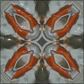Kaleidoscopic Transformations