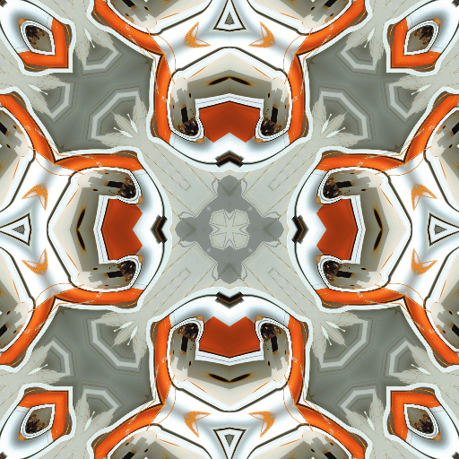 Variation 6