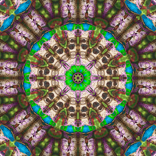 Variation 5