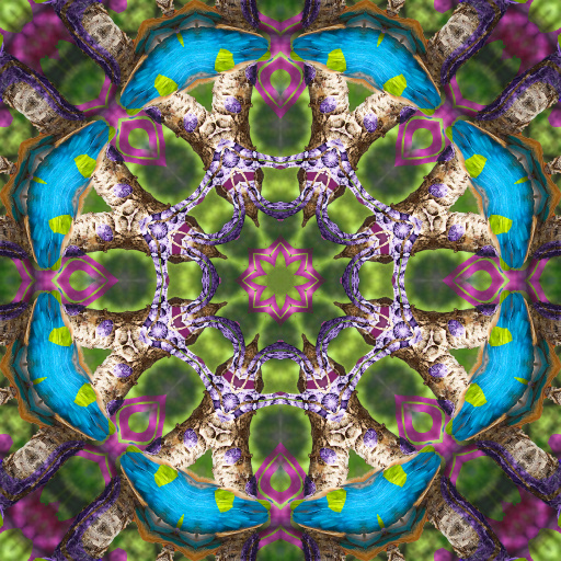 Variation 6