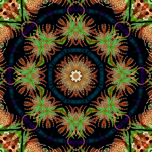 Variation 7