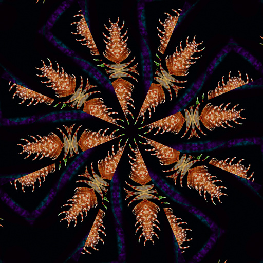 Variation 8
