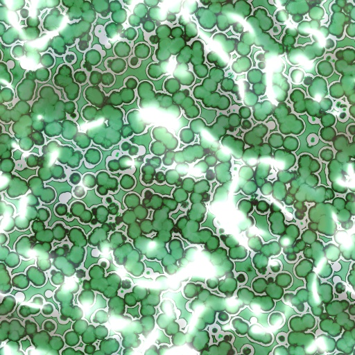 Variation 6