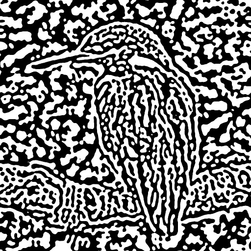 Variation 1
