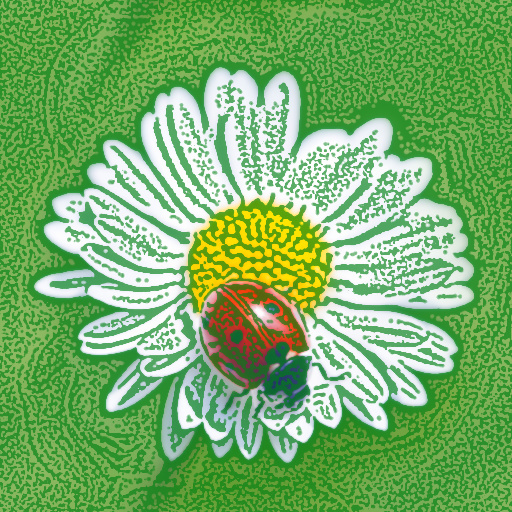 Variation 8