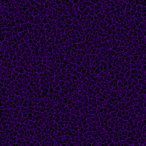 Variation 8