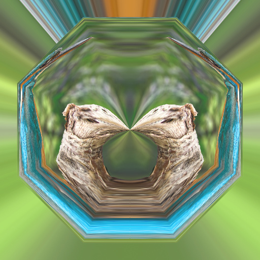 Variation 6