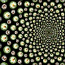 Graphic Moth with Image