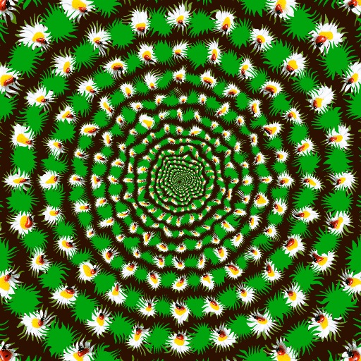 Variation 1