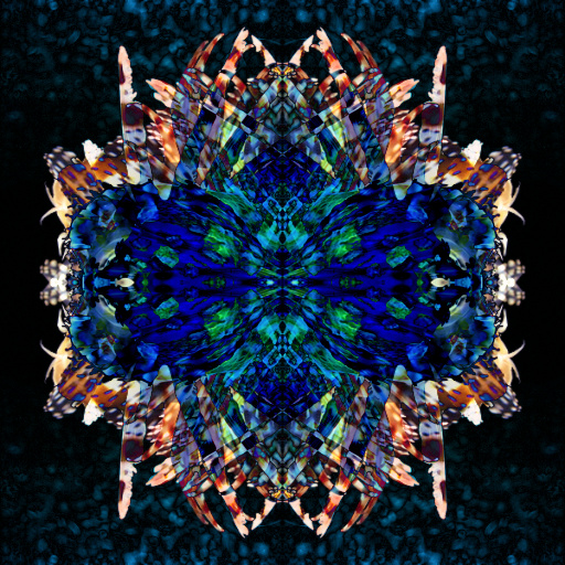 Variation 3