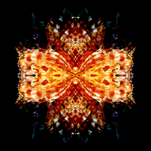 Variation 7