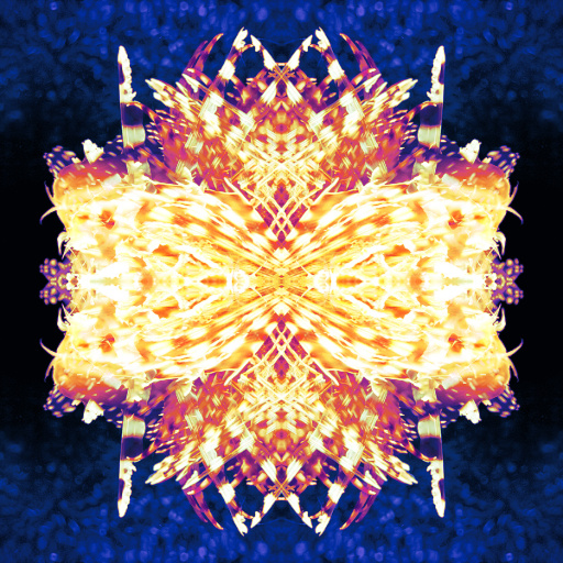Variation 8
