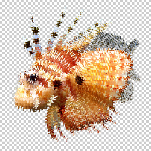 Variation 6