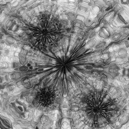 Ambient Occlusion Map