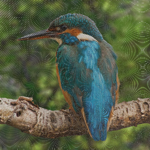 Variation 1