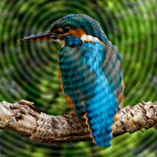 Variation 6