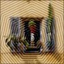 Polygonal Agamograph