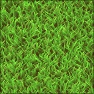 Cartoon Grass