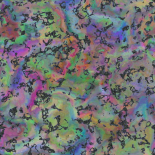 Variation 4