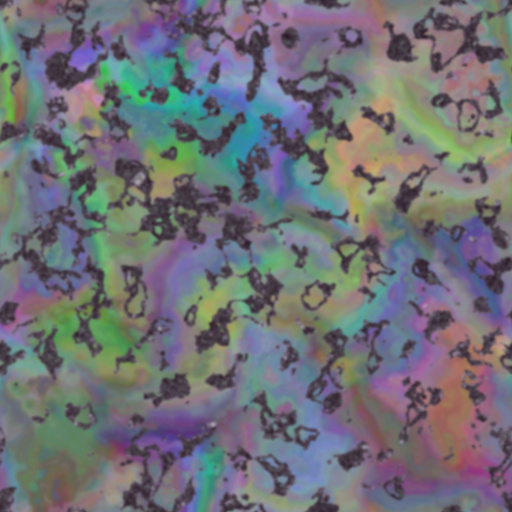Variation 5