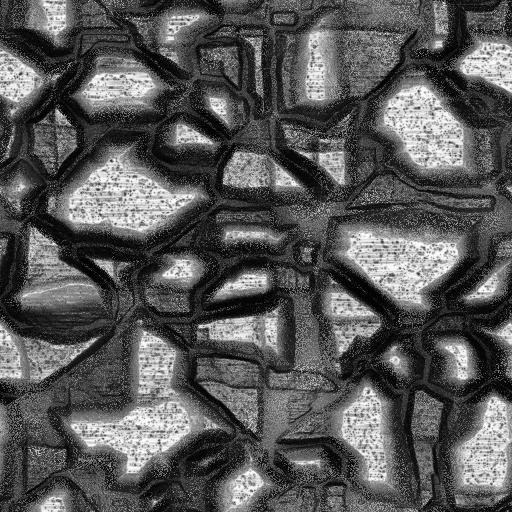 Ambient Occlusion Map