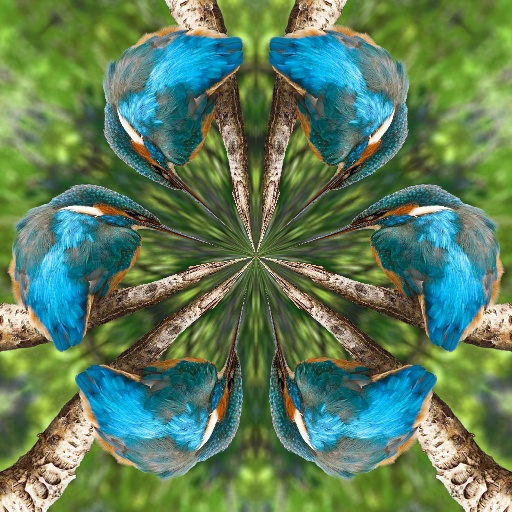 Variation 6