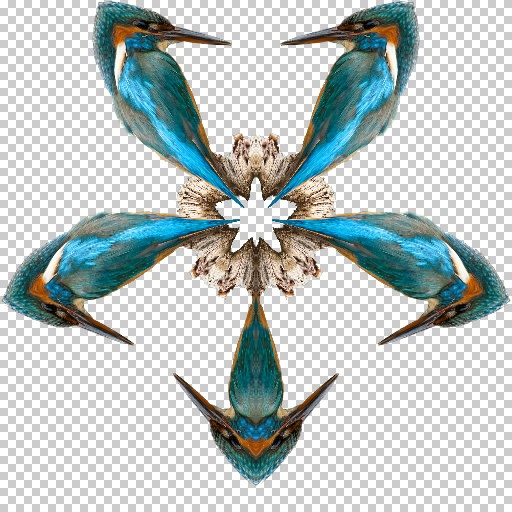Variation 4