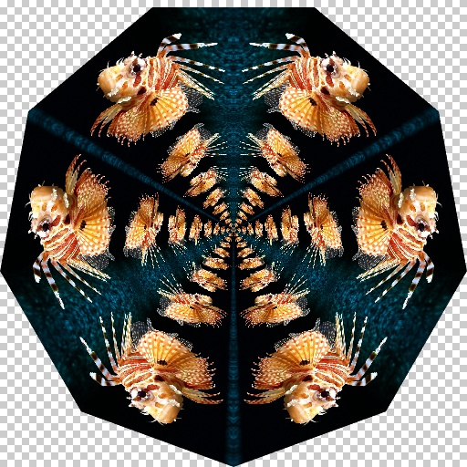 Variation 8