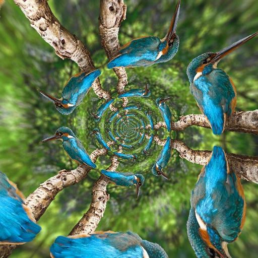 Variation 3