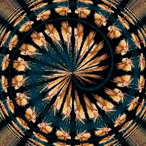 Variation 4