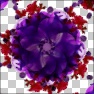 Rotator
