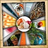 ImageRay