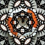 Geometric Image Transformation